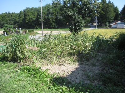 IMG_0592.JPG