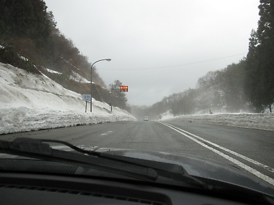 IMG_4916.JPG
