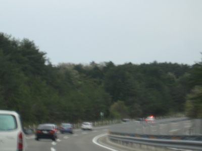 IMG_7537.JPG