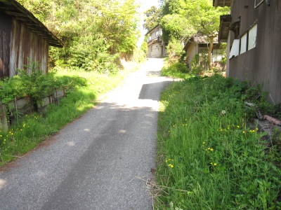 IMG_7742.JPG