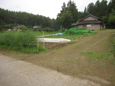 IMG_9327.JPG