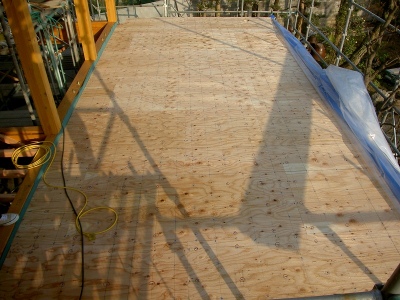 PICT6504.jpg