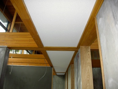 PICT8611.jpg