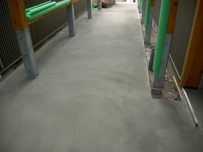 PICT8704.jpg