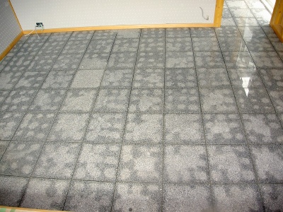 PICT8712.jpg