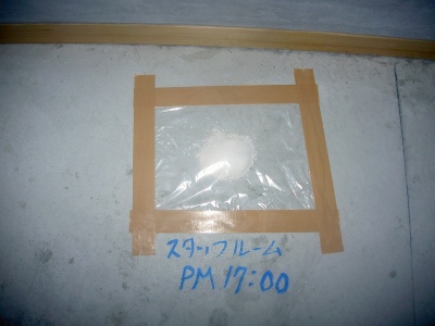 PICT8818.jpg