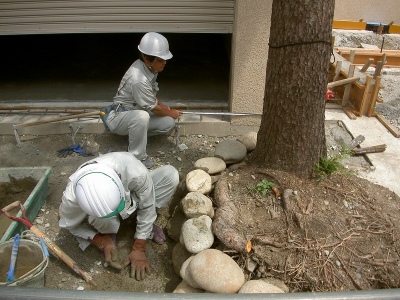 PICT9056.jpg