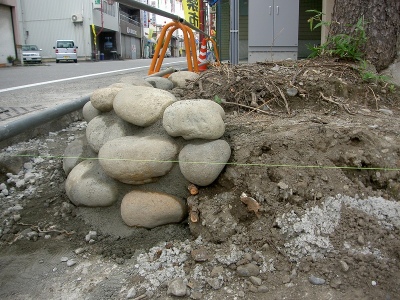 PICT9059.jpg