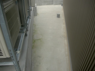 PICT9203.jpg