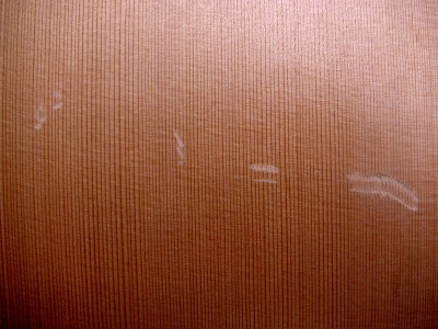 PICT9501.jpg