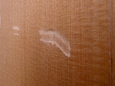 PICT9504.jpg
