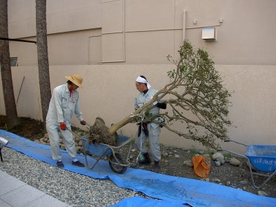 PICT9508.jpg