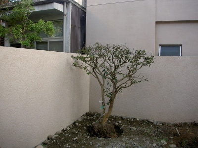 PICT9514.jpg