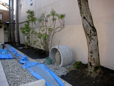 PICT9517.jpg